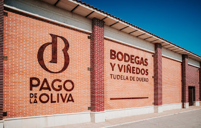Pago de la Oliva - Bodegas y Viñedos