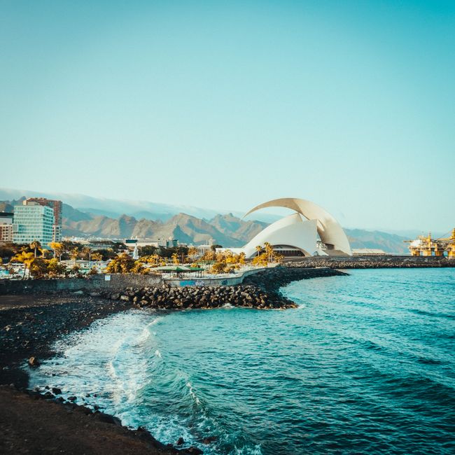 Bodegas Insulares Tenerife S A