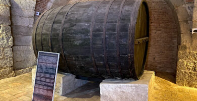 Bodega Histórica del Vino de Toro