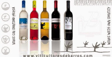 Bodegas Viticultores De Barros