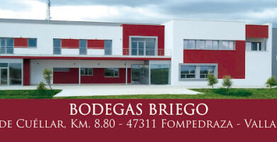 Bodegas Briego - Ribera del Duero