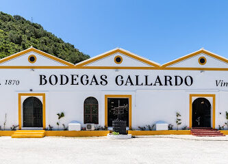 Bodegas Gallardo
